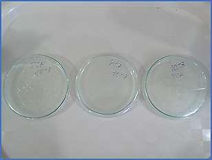 A Tabela 9 mostra os resultados das análises microbiológicas nas conservas.