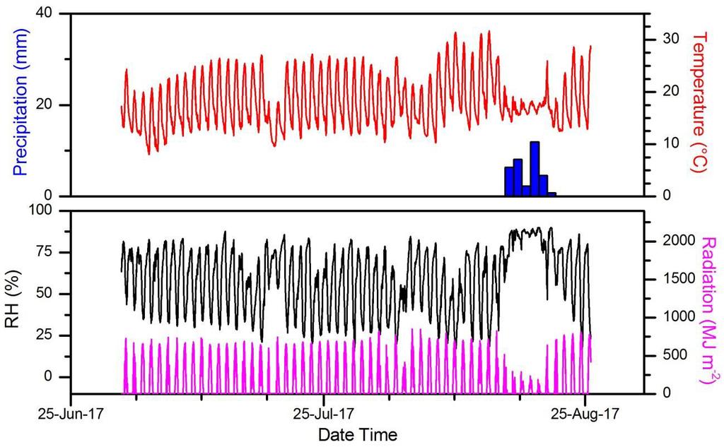 Caracterização meteorológica dos locais de realização dos experimentos - Campinas Série temporal das