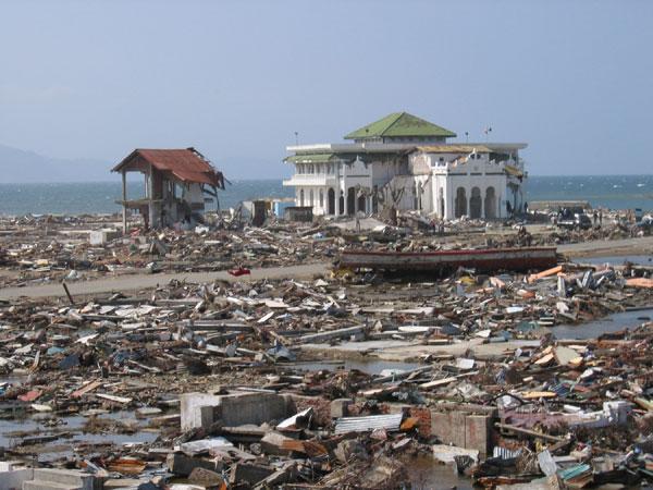 MOVIMENTOS VAGAS SÍSMICAS OU TSUNAMIS Vagas Sísmicas ou