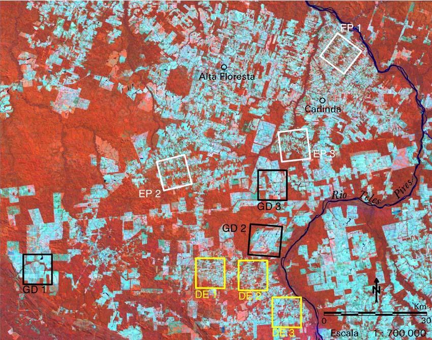 Padrões de desmatamento Seleção das áreas de estudo Desordenado (DE) Espinha