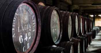 476129 HERDADE MONTE DOS SALICOS Inicialmente toda a produção da herdade Monte dos Salicos era vendida à Adega Cooperativa de Lagoa para produzir o vinho da região.