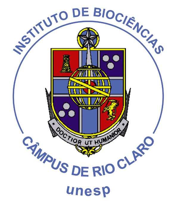 UNIVERSIDADE ESTADUAL PAULISTA JÚLIO DE MESQUITA FILHO