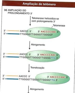 progressivo no sistema nervoso (problemas