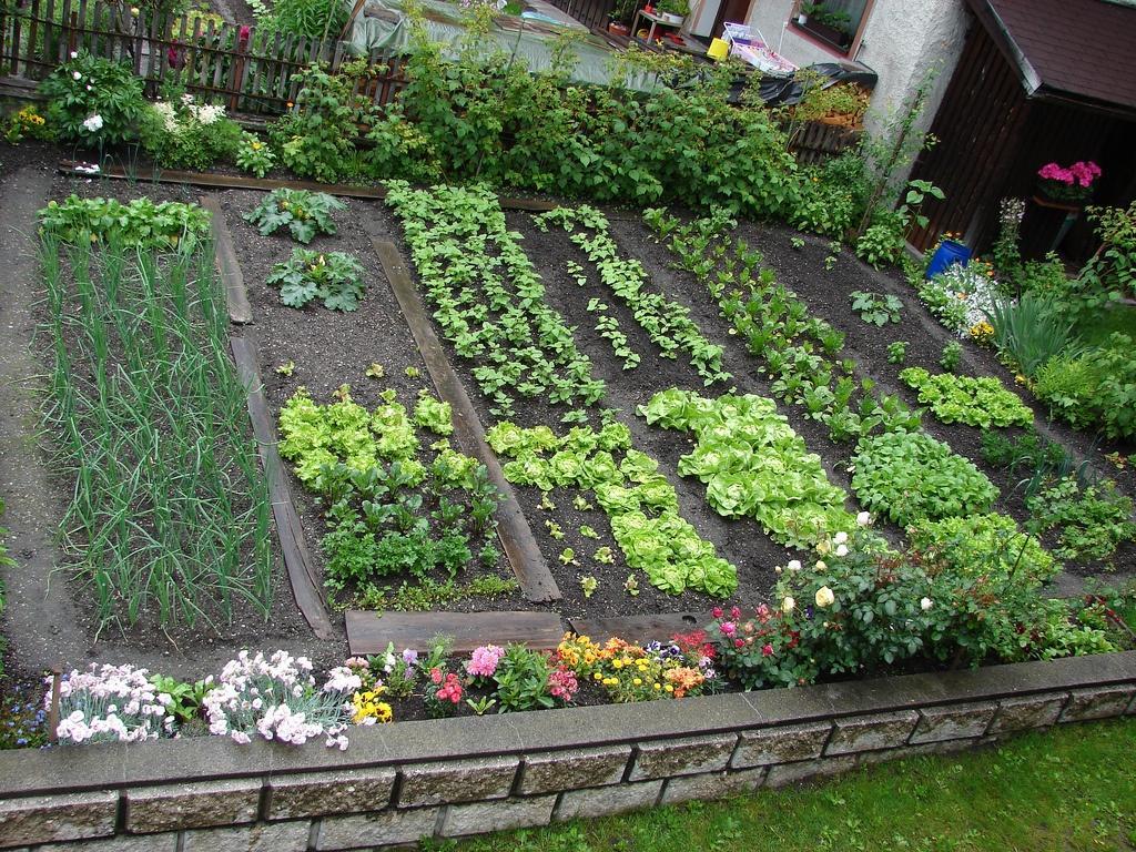 Após a aula, recolher os cadernos, corrigir e avaliar. A horta Mostrar a imagem e pedir a alguém que escreva a palavra "Gemüsegarten" no quadro.