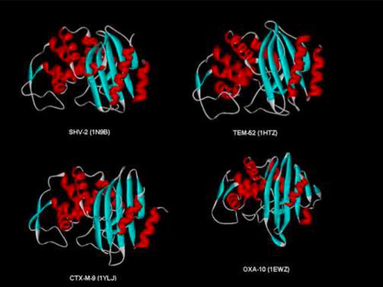 Figura 5 Estrutura cristalina de β-lactamases (adaptado de Perez et al., 2007). As alfa-hélices destacam-se a vermelho e as folhas beta-pregueadas a azul.