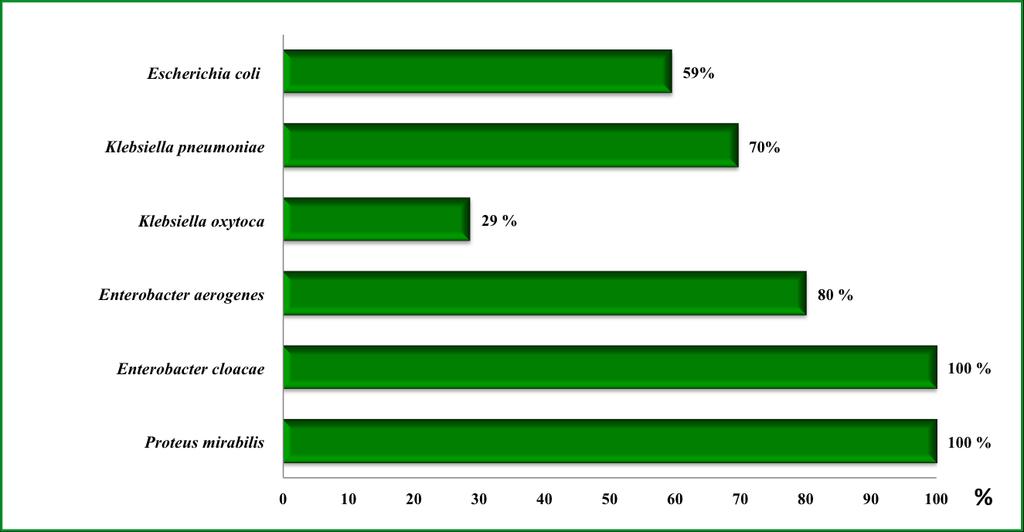 et al. (2007), para além das ESBLs do tipo TEM-52 (n=9/9), CTX-M-1 (n=1/1), CTX- M-14 (n=4/4) e CTX-M-15 (n=4/17), foram também incluídos isolados de E.