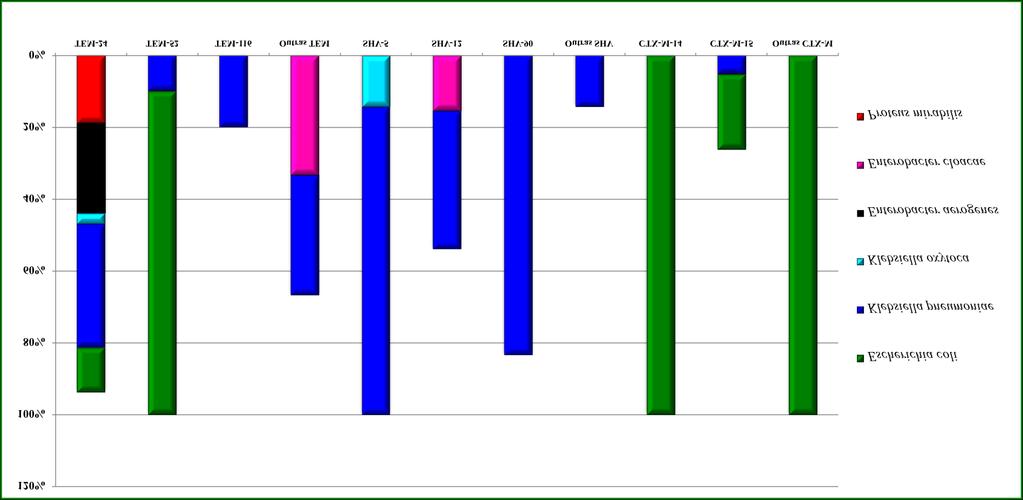 a b c Gráfico 6 Distribuição da taxa de conjugação por tipos de ESBL (2002-2004)