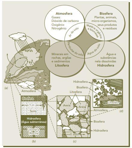 A pedosfera como uma interface ambiental Na escala de quilômetros (a), o solo faz parte dos ciclos globais e da vida dos ecossistemas terrestres.