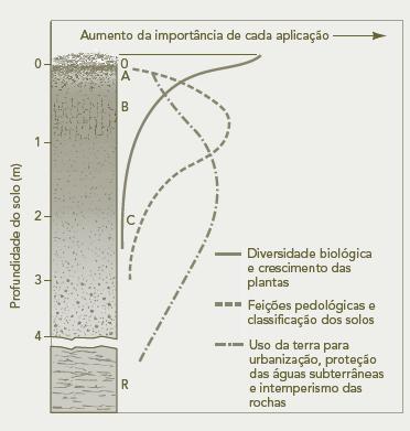 Informações do perfil Informações importantes em relação às diferentes funções e