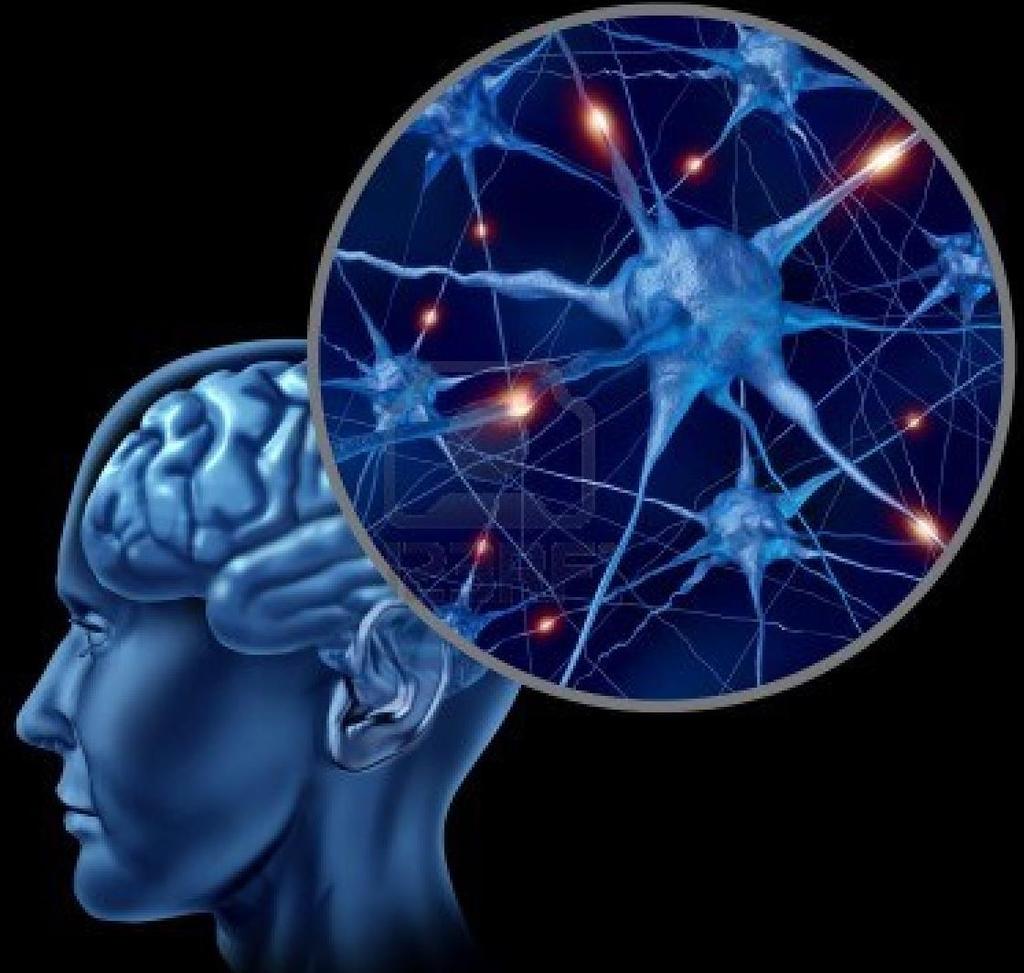 Rede Neural Biológica Conjunto de neurônios altamente interconectados, os quais: i) Apresentam sinapses moduláveis; ii)