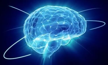Funcionalidade do cérebro: O Cérebro O cérebro é capaz de perceber regularidades no meio e gerar abstrações que capturam a estrutura