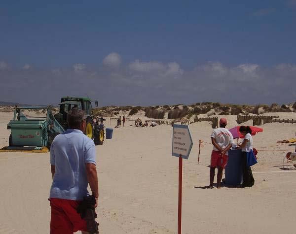 limpeza de praia, incomodando os