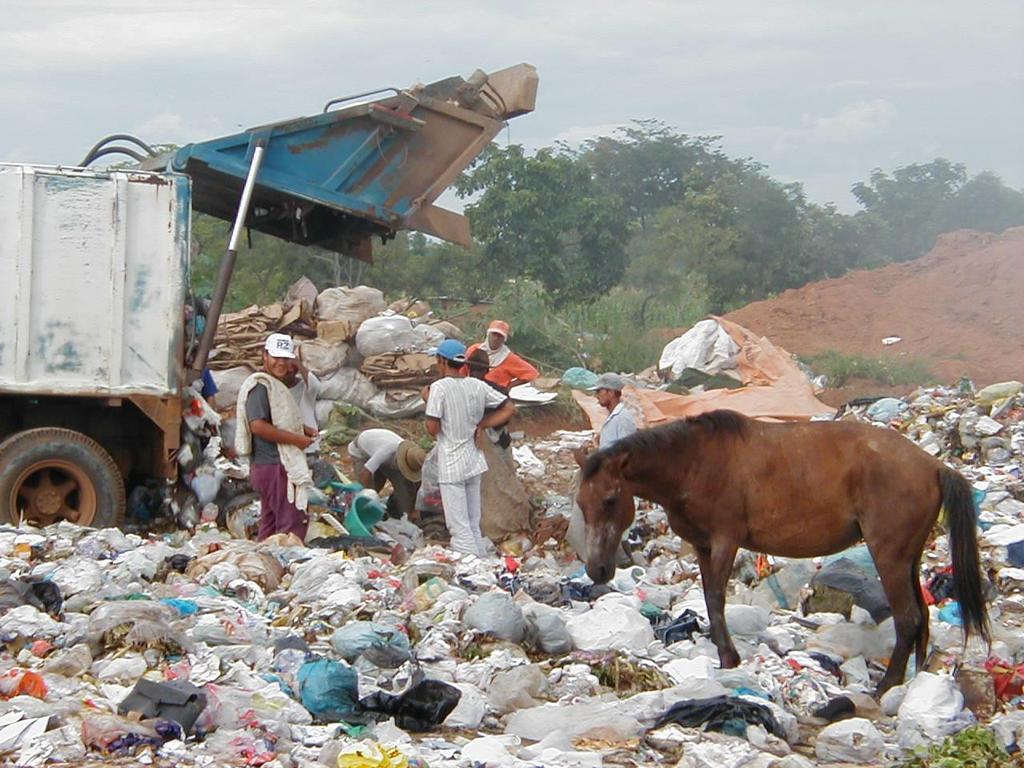 Foto: Luiz Fernando da Rocha Penna.