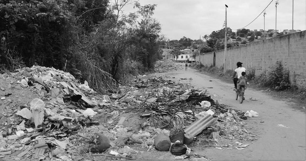 Resíduos sólidos jogados em logradouro, provenientes de domicílio urbano do Município de Santa Luzia-MG em setembro
