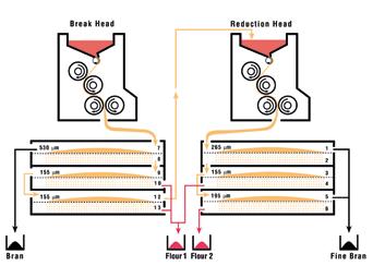 peneira, colocadas uma em cima da outra, separa as partes de acordo com a granulação das mesmas. Cada secção de peneira produz uma farinha única conjunta ou duas farinhas independentes.