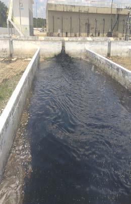 lodo caleado. Para a primeira etapa as amostras compostas foram coletadas e as variáveis avaliadas foram: sólidos totais e ph, conforme mostra Tabela 1.