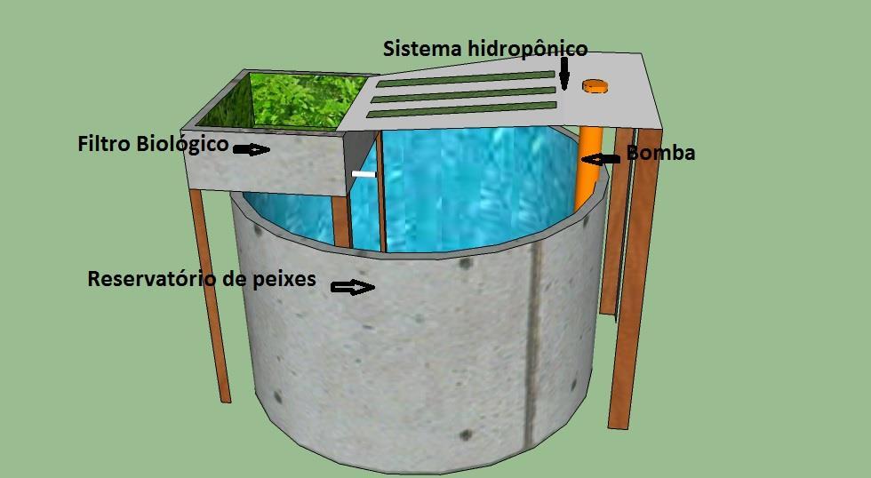 aquapônico. A configuração desse sistema se dá pelos seguintes itens: (1) reservatório de peixes, (2) sistema hidropônico, (3) filtro biológico e (4) bomba.