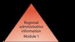 Módulo 1 Índice não é necessário para ectd Específico para cada país Documentos administrativos Formulários Ofícios Letters of Authorizations (LoAs) Informações de reuniões e interações