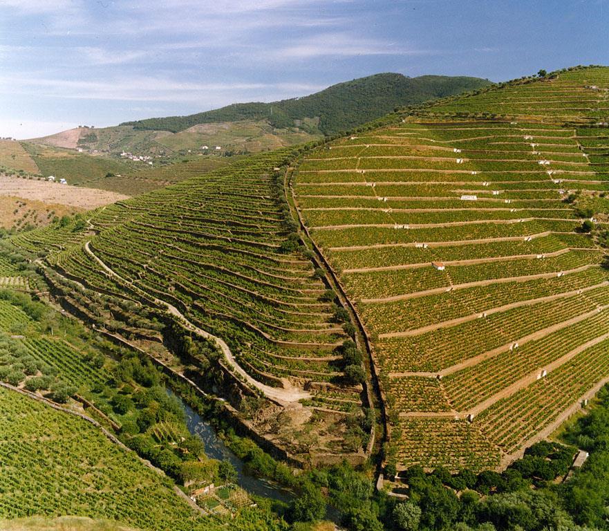 Alto Douro