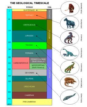 Como substâncias inanimadas podem ter originado seres vivos? O que foi necessário para a evolução da vida? O que os seres vivos têm em comum na sua composição química? R.