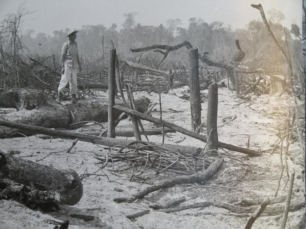 Londrina, ~ 1950 Para