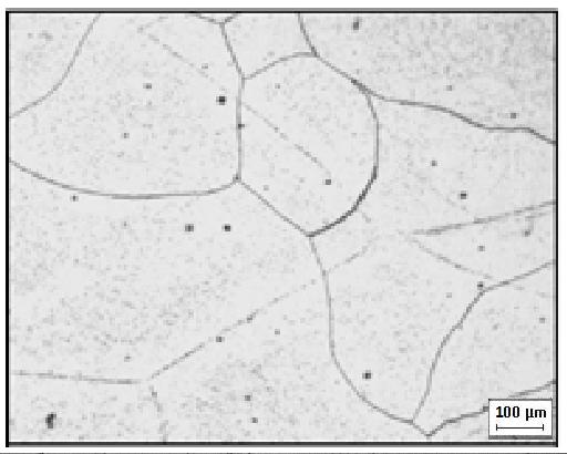 provavelmente, pode ter sido causado pela falta de elementos estabilizantes de tamanho de grão na composição química da liga. (VILLAFUERTE et al., 1990).