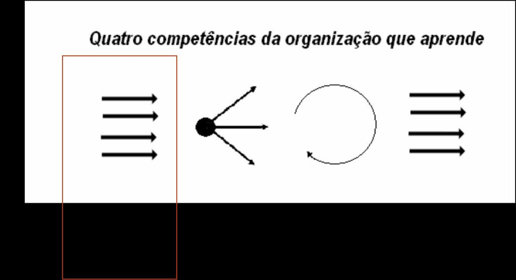 Iniciação do projeto Cliente - COB Capacitação dos professores do COB em Gestão de processos mapeamento de