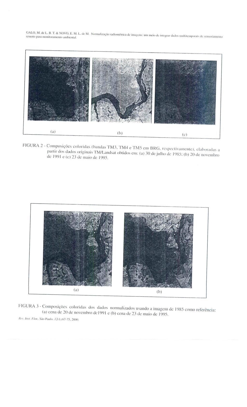 GALO, M. de L. B. T. & NOVO, E. M. L. de M. Normalização radiométrica de imagens: um meio de integrar dados multitemporais de sensoriamento remoto Para monitoramento ambiental.