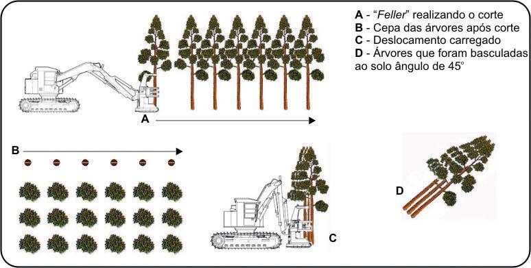 FERNANDES, H. C. et al. fatores ergonômicos que poderiam influenciar a saúde, o conforto, o bem-estar, a segurança e o rendimento dos operadores dos tratores florestais.