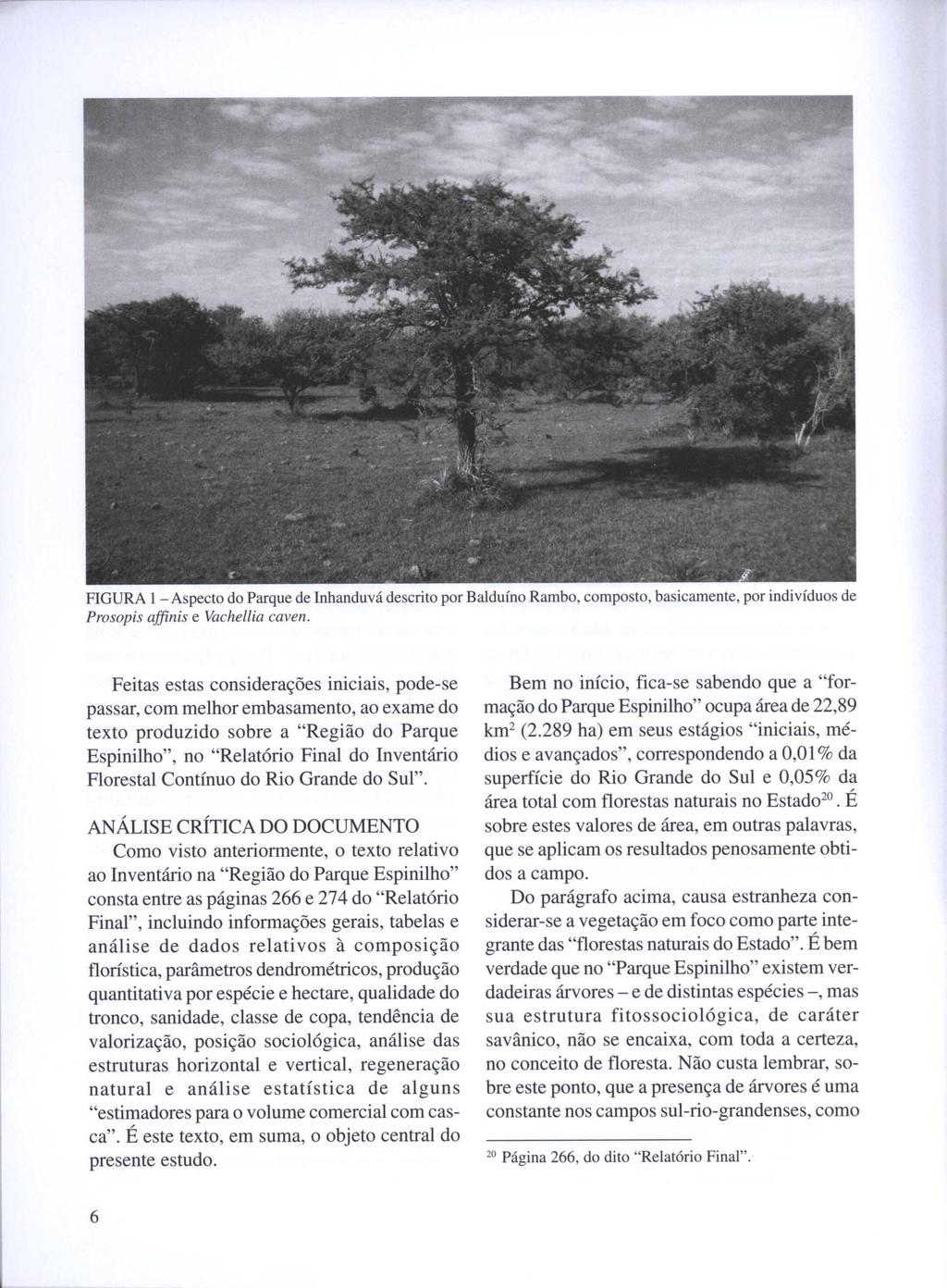 FIGURA 1 - Aspecto do Parque de Inhanduvá descrito por Balduíno Rambo, composto, basicamente, por indivíduos de Prosopis affinis e Vachellia caven.