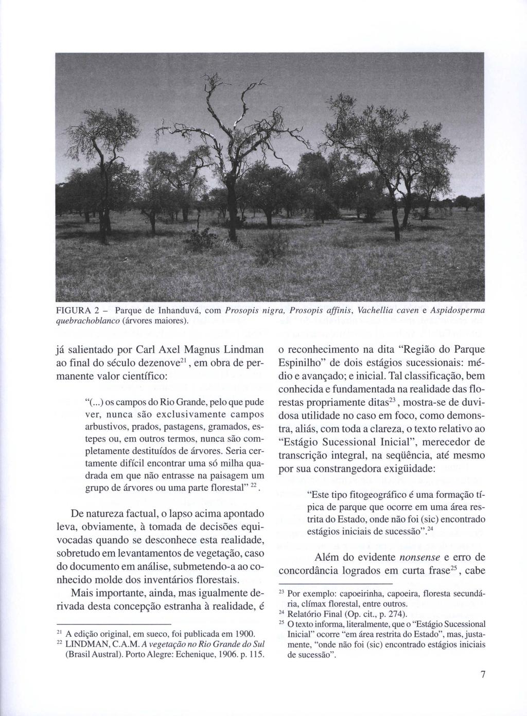FIGURA 2 - Parque de Inhanduvá, com Prosopis nigra, Prosopis affinis, Vachellia caven e Aspidosperma quebrachoblanco (árvores maiores).