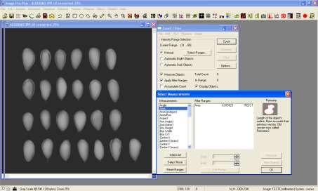 Image-Pro Plus: selecionar determinações Imagem: Francisco G.