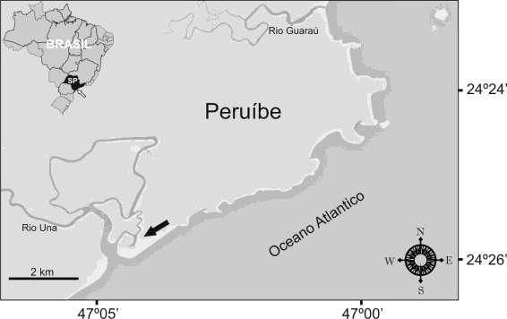 ao Rio Una do Prelado, localizados na Reserva de Desenvolvimento Sustentável da Barra do Una, no município de Peruíbe (SP), avaliando os locais com maior ocorrências destes resíduos e as classes com