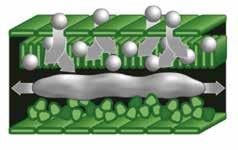 Graças à sua boa estabilidade química e alto potencial insecticida, o produto proporciona uma protecção duradoura contra insectos,