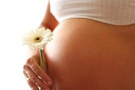 SALÁRIO-MATERNIDADE Será devido salário-maternidade à segurada ativa gestante por 180 (cento e oitenta) dias consecutivos, com início entre o primeiro dia do nono mês de gestação e a data de