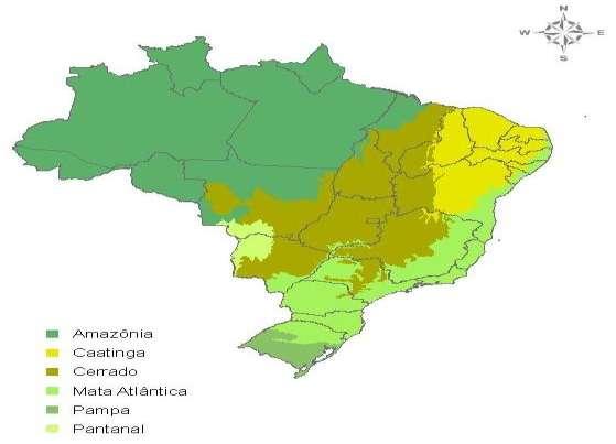 4.10.5. Vegetação Segundo IBGE (2004), a vegetação do município de Palhoça pertence ao Bioma Mata Atlântica (Figura 22).