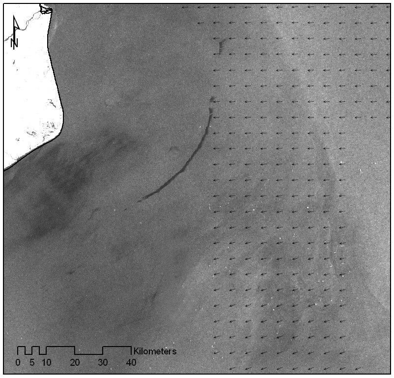 Fig. 2 Imagem RADARSAT-1 (16/08/2002-08:10 GMT), com setas representativas da direção do vento (QuikSCAT) sobrepostas.