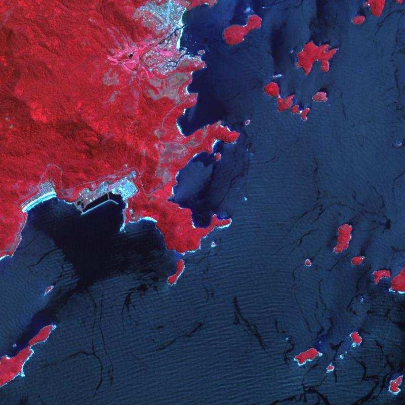 PROJETO SIMA- SISTEMA IMAGEADOR MULTIESPECTRAL AEROEMBARCADO