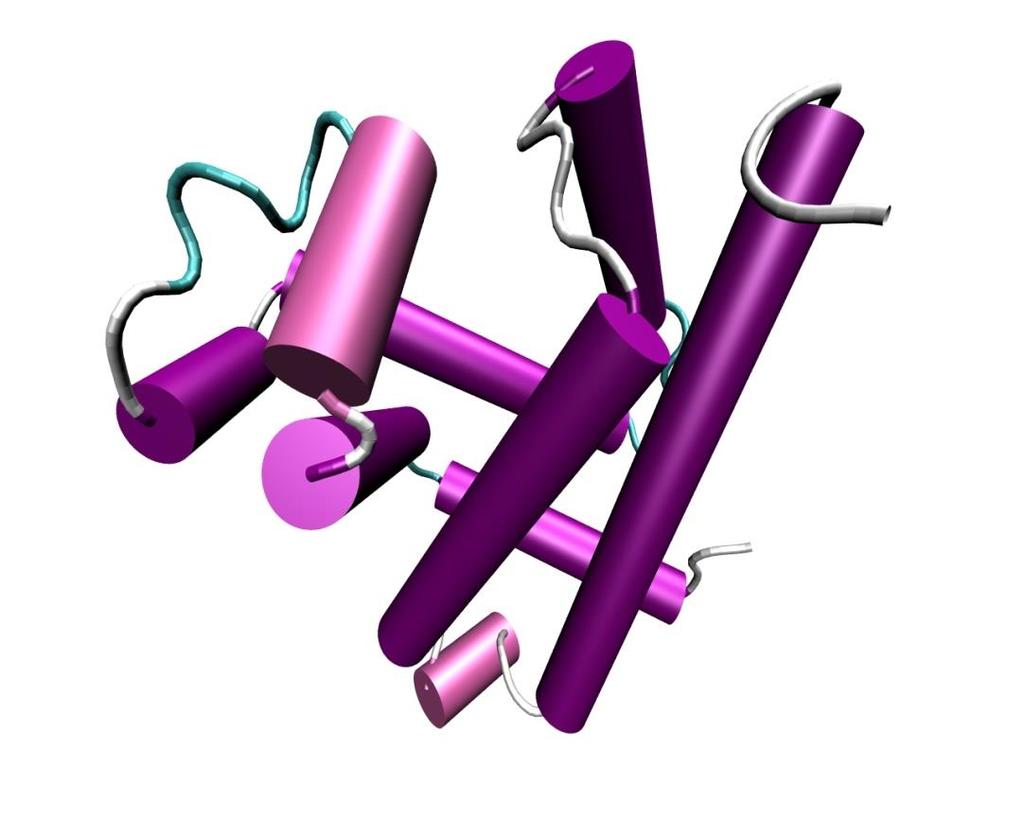 Estrutura da Mioglobina Outra representação gráfica possível para as hélices é a representação em cilindro, onde cada hélice é indicada como um cilindro.