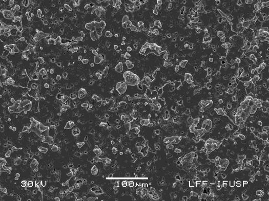 ferrita de cobalto CoFe 2 O 4 nano obtida pelo método de