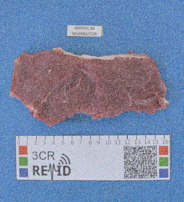 Questão 3. Usando a imagem img3.jpg, segmente o fundo da imagem, isolando somente a amostra de carne (gordura e músculo) em um novo arquivo. Esta imagem apresenta problemas de ruído.