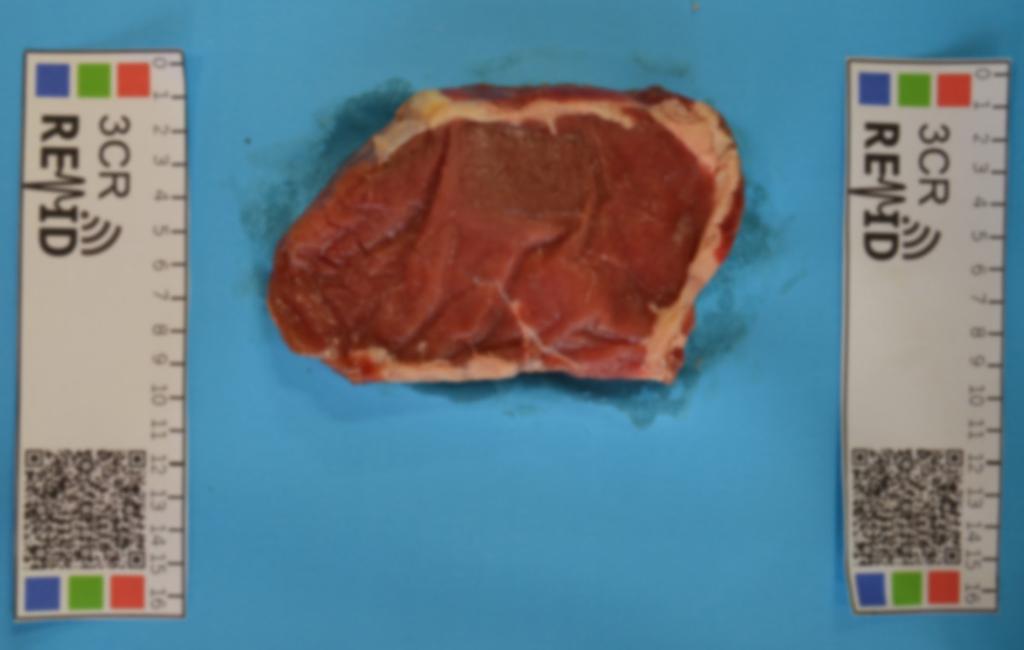 Questão 4. Usando a imagem img4.jpg, segmente o fundo da imagem, isolando somente a amostra de carne (gordura e músculo) em um novo arquivo. Esta imagem apresenta problemas de foco.