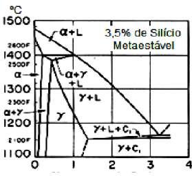 transformações de fase nas etapas de solidificação e resfriamento das peças. Double et. al.