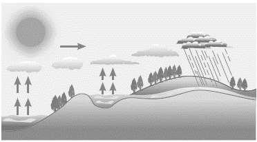 4ª QUESTÃO: O Sol participa do ciclo da água, pois, além de aquecer a superfície da Terra dando origem aos ventos, provoca a evaporação da água dos rios, lagos e mares.