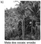 influência no espaço geográfico, marque V (verdadeiro) ou F (falso) ( ) O clima das áreas