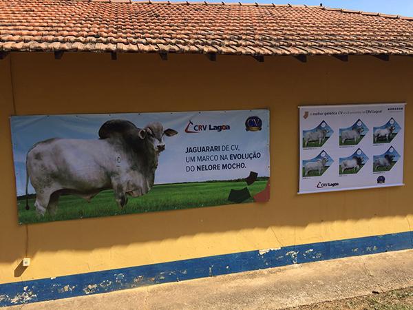 28/07/2016 Canal do Consultor de Campo» CRV LAGOA MARCOU PRESENÇA NO 29º LEILÃO DE TOUROS DA AGROPECUÁRIA