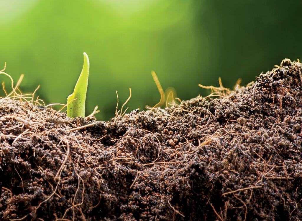 A legislação sobre recuperação de empresas e falências faz dez anos em 2015, com um histórico de contribuições para o ambiente de