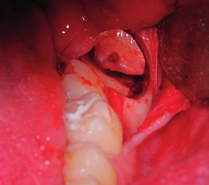 Prática clínica privada nas áreas da Cirurgia e Reabilitação Oral Especialista em Ortodontia pela OMD Professor da Faculdade de Medicina da Universidade de