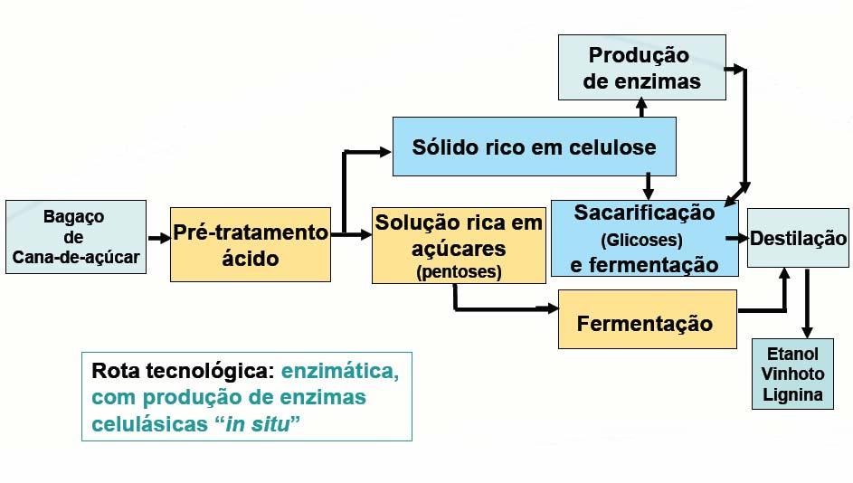 Bioetanol de