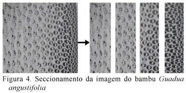 Materiais e Metalurgia da PUC-Rio, através de uma lupa com magnificação de 6X, equipada com uma câmara fotográfica. As manipulações realizadas sobre as imagens foram realizadas no software KS400